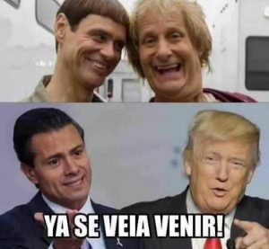 memes-del-muro-tondo-y-mas-tonto