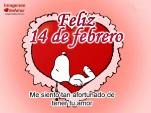 imagenes de amor 
