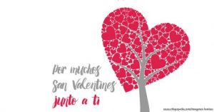 Imagenes bonitas de amor