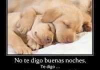 Imagenes de amor buenas noches1