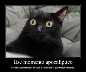 esta-es-tu-cara-cuando-alguien-comienza-a-cantar-la-cancion-en-la-que-estabas-pensando-gato-sorprendido