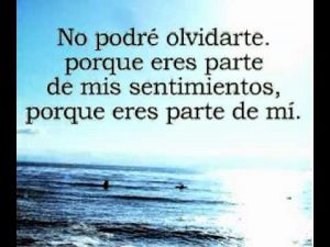 Imagenes de amor tristes con frases