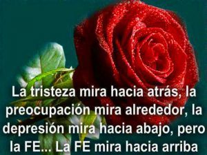 Frases únicas para whatsapp y facebook