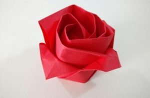 rosa-de-papel