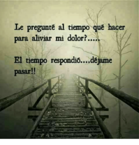 9d35118faa06a470370c06ec77318a3c-500x522