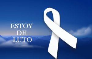 Moño-de-luto-4hfghfg
