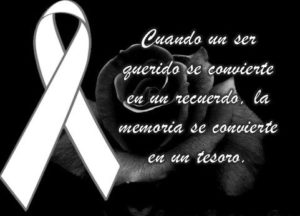 fe04c920aff956ca7c39674bc5153973