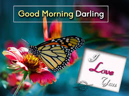 Good-Morning-My-Friend-Gif-Image