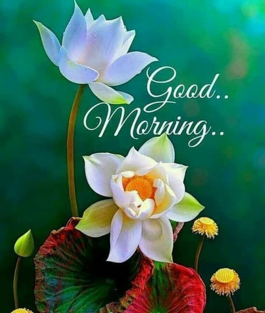 Hello-Good-Morning-Gif-Image