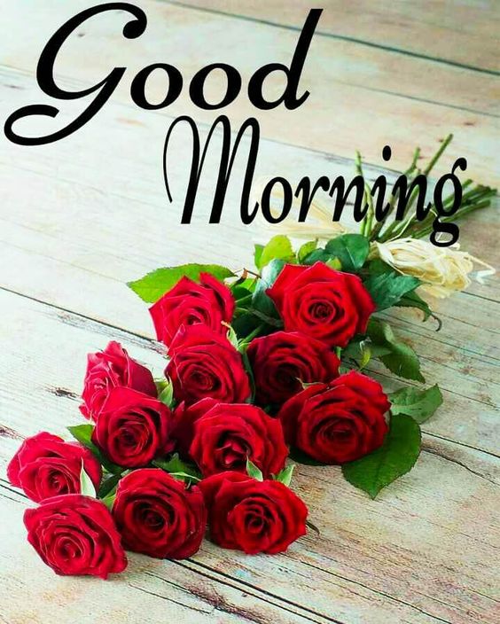 Bright-Good-Morning-Gif-Image