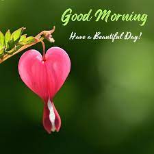 Good-Morning-Happy-Saturday-Gif-Image