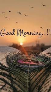Good-Morning-Happy-Tuesday-Gif-Image