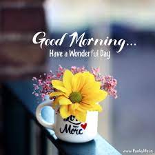 Good-Morning-Fool-Quote-Gif-Image