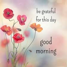 Good morning flowers rose images