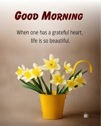 Good-Morning-Everyone-Gif-Image