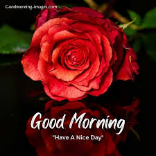 Good-Morning-Animated-Gif-Image