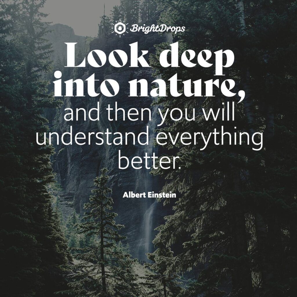 Short quotes nature