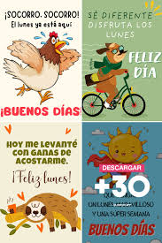 buenos dias (21)