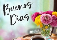 buenos-dias-cafe-flores