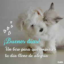 imagenes de buenos dias (26)