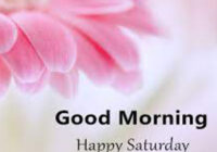 Happy Saturday good morning images in flowers