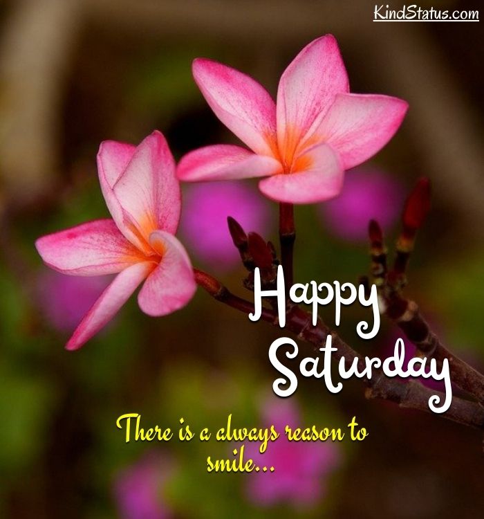 Happy saturday blessings