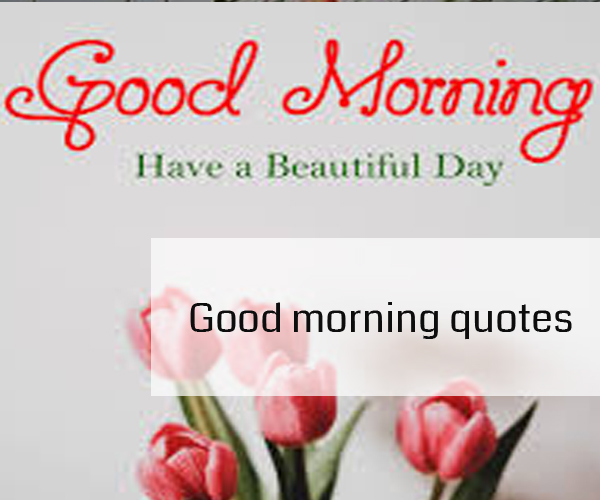 Morning-Quotes