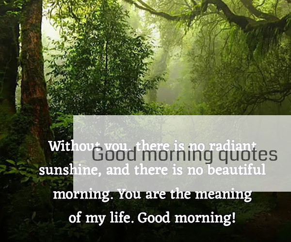 good-morning-quotes-and-images-1