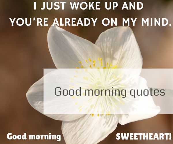 inspirational-good-morning-greetings