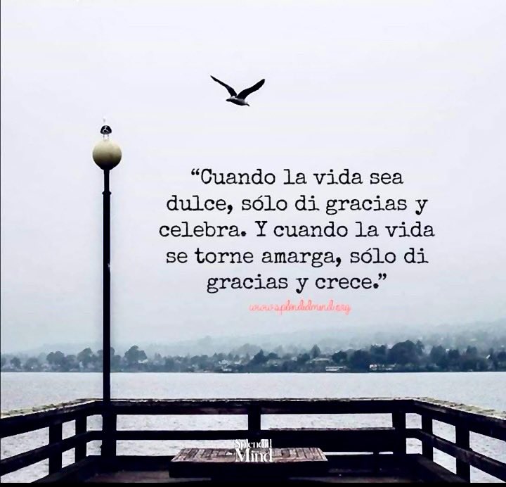 Frases motivadoras cortas