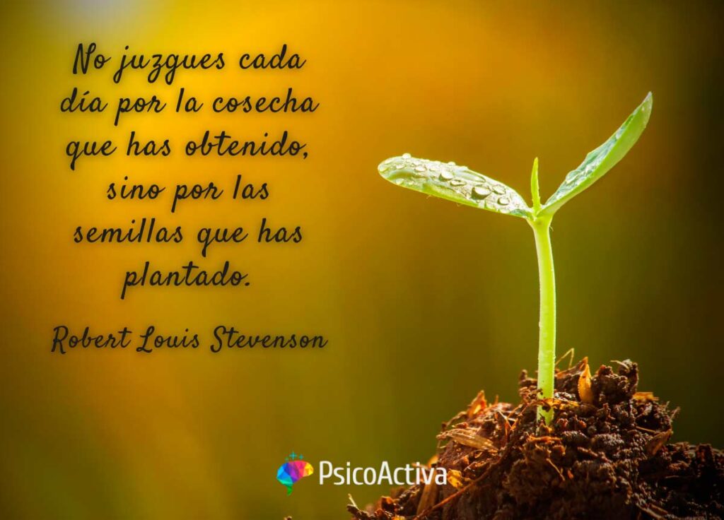 Frases motivacionales cortas