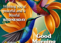 good morning wednesday morning blessings
