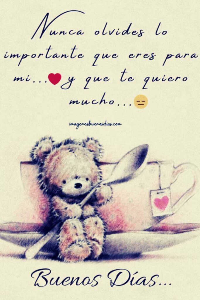 Buenos días mi amor espero que hayas amanecido bien - Fotos de amor ...