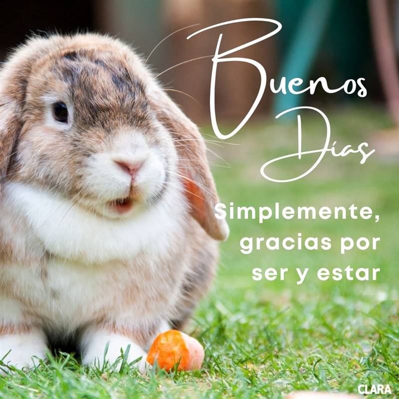 Frases de buenos dias cristianas