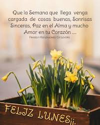 Buenos dias mi amor mensajes largos