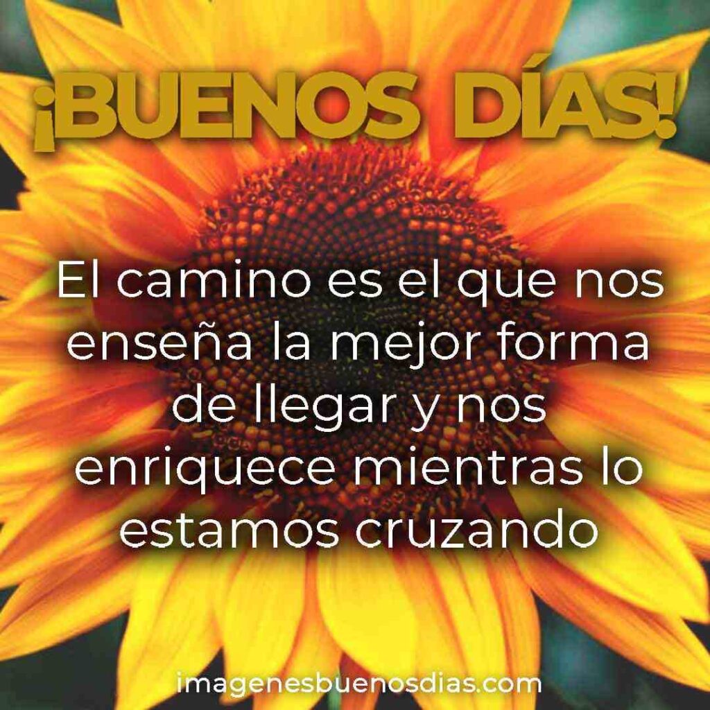 Frases de buenos dias mi amor