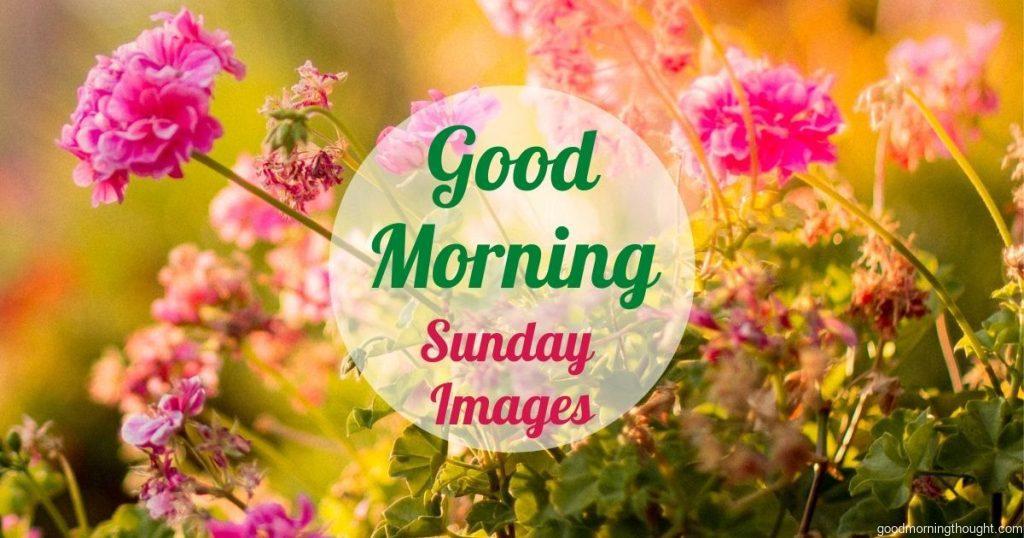 Good Morning Friends And Family Have A Smiley Sunday