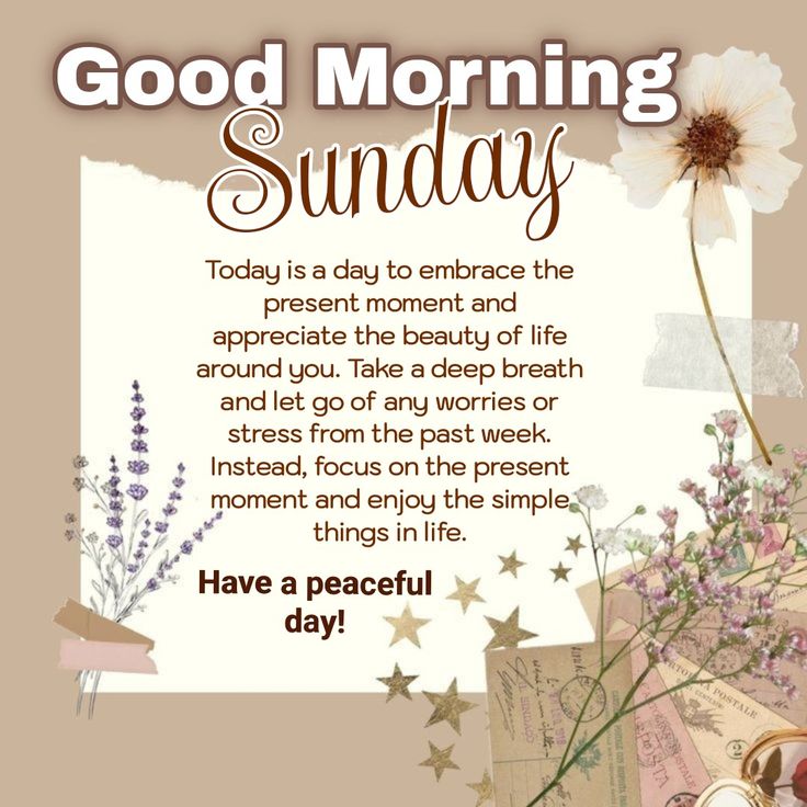 Happy Sunday Good Morning