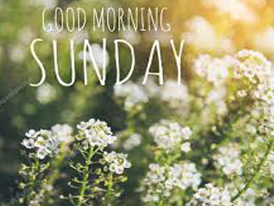 Adorable Pic Of Good Morning Sunday