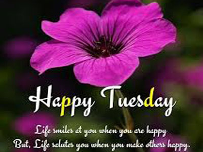 Beautiful Pic Of Good Morning 9