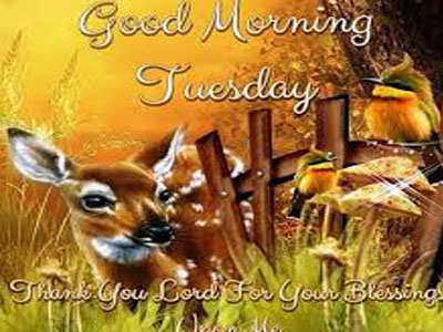 Funny Pic Of Good Morning Thursday