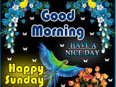 Good Morning