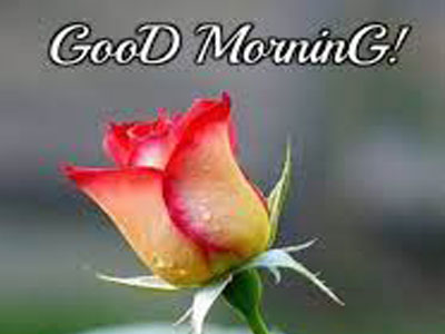 Good Morning And Happy Sunday Photo