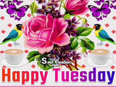 Good Morning And Have A Deadly Thursday