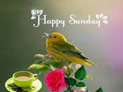 Good Morning Friends Have A Nice Sunday