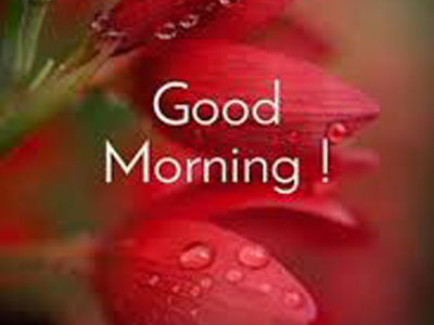 Good Morning Friends Image