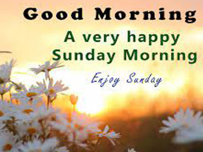Good Morning Friends Wishing You An Amazing Sunday Pic