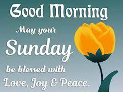 Good Morning Friends Wishing You An Amazing Sunday