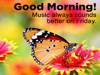Good Morning Friends