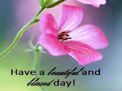 Good Morning God Bless Yalls Thursday